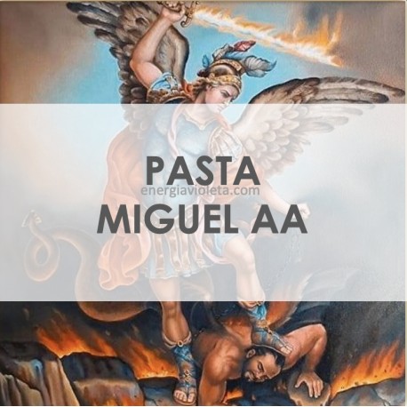 PASTA de MIGUEL ARCÁNGEL