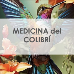 MEDICINA DEL COLIBRÍ