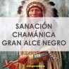 SANACIÓN CHAMÁNICA DEL GRAN ALCE NEGRO - BLACK ELK