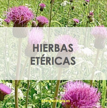 Que contribuye dejar fumar
