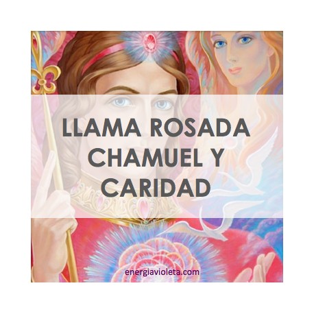 LLAMA ROSADA CHAMUEL Y CARIDAD - LLAMA TRINA