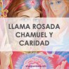 LLAMA ROSADA CHAMUEL Y CARIDAD - LLAMA TRINA