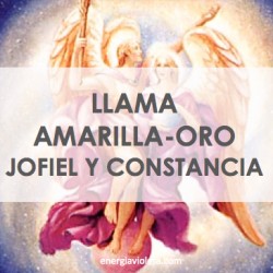 LLAMA AMARILLA-ORO JOFIEL Y CONSTANCIA - LLAMA TRINA
