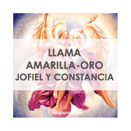 LLAMA AMARILLA-ORO JOFIEL Y CONSTANCIA - LLAMA TRINA