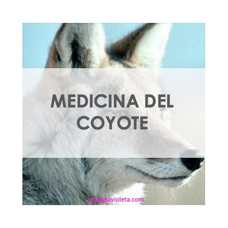 Coyote Iniciación
