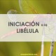 MEDICINA DE LA LIBÉLULA - INICIACIÓN
