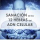 SANACIÓN DE LAS 12 HEBRAS DEL ADN CELULAR