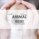ANIMAL REKI