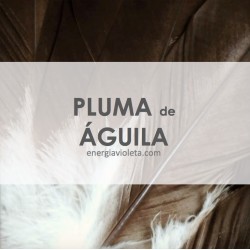 PLUMA DE ÁGUILA - 35 cms aprox.