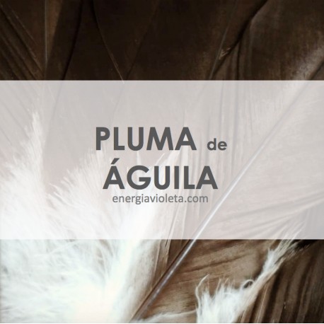 PLUMA DE ÁGUILA - 35 a 47 cms aprox.