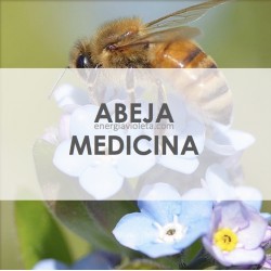 ABEJA DORADA DE LA MIEL MEDICINA